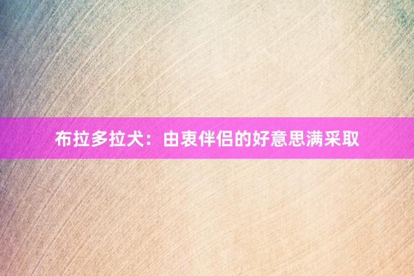 布拉多拉犬：由衷伴侣的好意思满采取